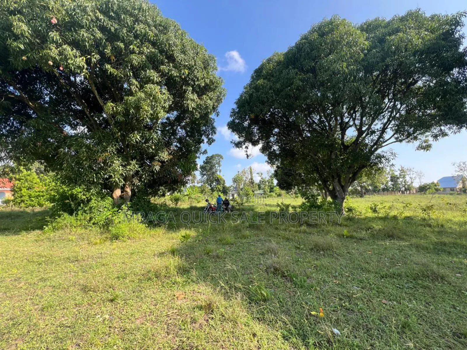 Plot With 11 Acres for Sale at Kivumbi Tifu Mwambani Tanga
