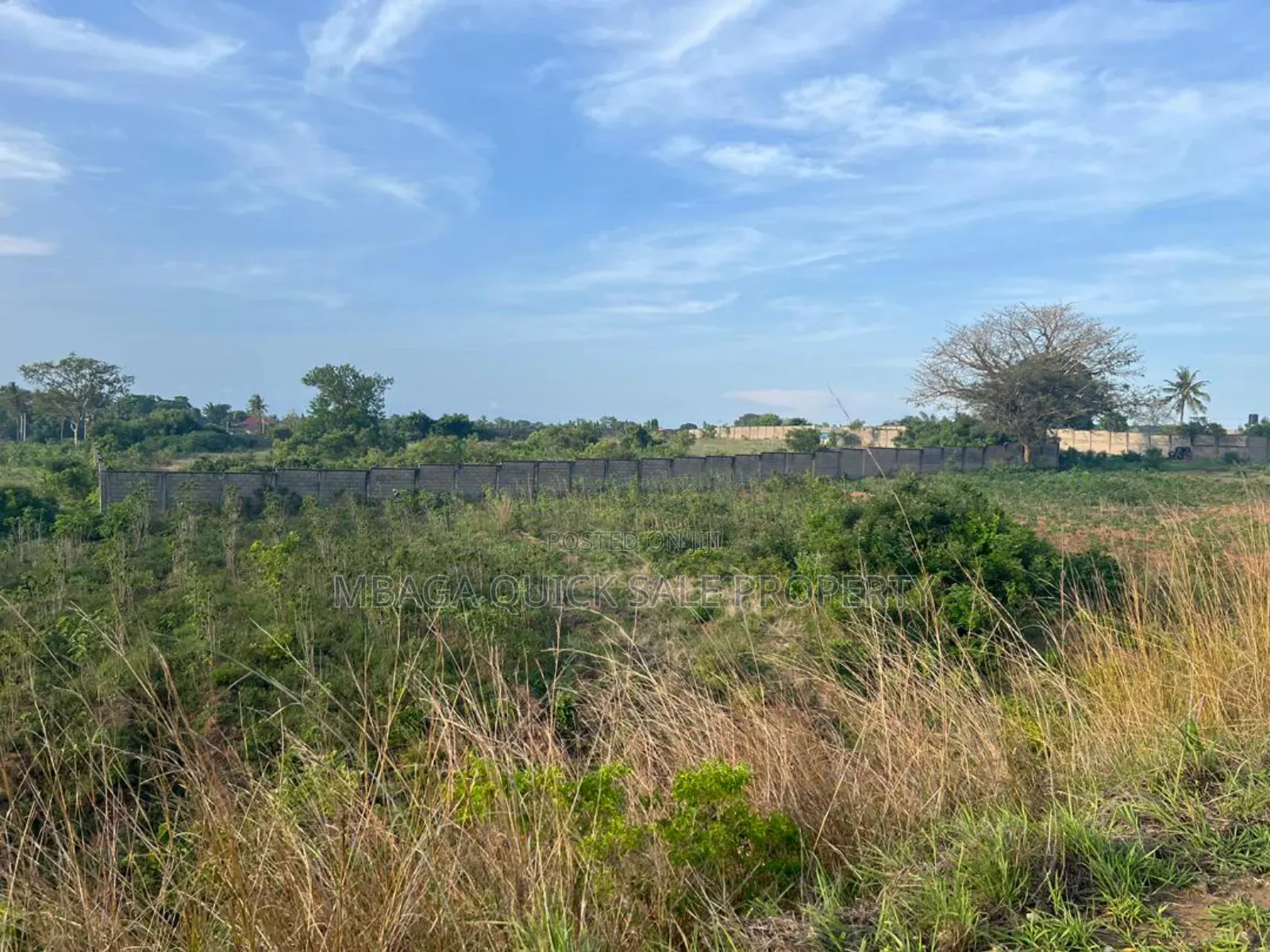 Plot With 11 Acres for Sale at Kivumbi Tifu Mwambani Tanga
