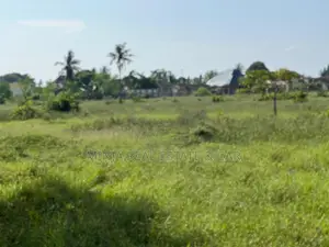 11 Acres Plot for Sale Kivumbi Tifu-Mwambani Tanga