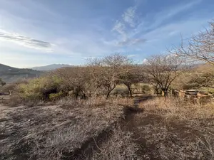 5 Acres for Sale to Investors in Ngaramtoni Arusha