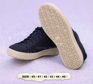 Cat Causel Shoes
