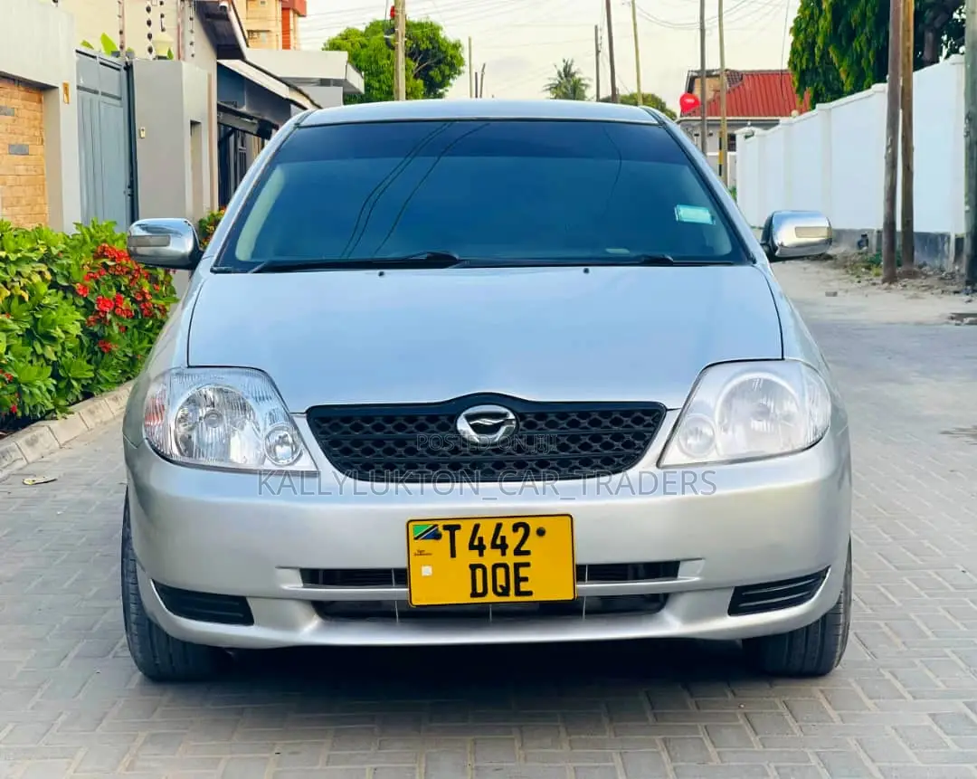 Toyota Corolla RunX 2005 Silver