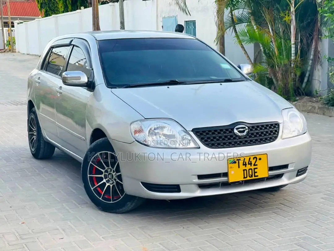 Toyota Corolla RunX 2005 Silver