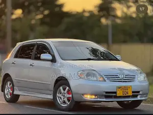 Toyota Allex 2005 Silver