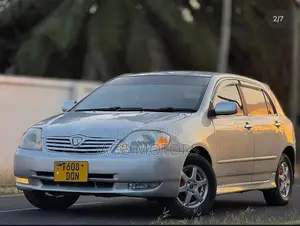 Toyota Allex 2005 Silver