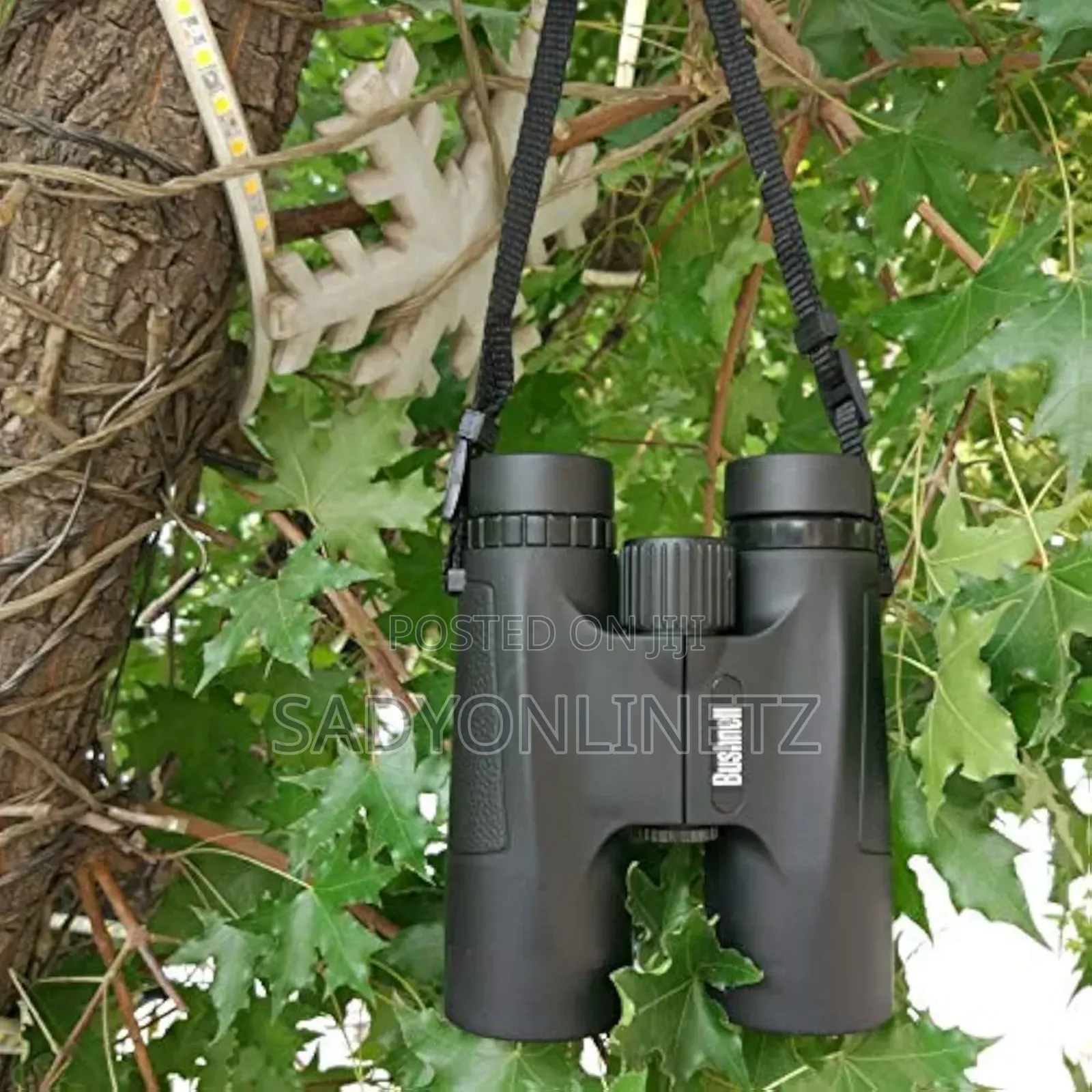Bushnell Binocular 8×42