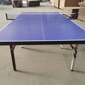 Table Tennis Table