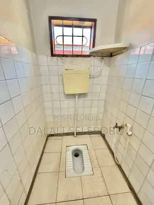 1bdrm Bungalow in Mikocheni B for rent