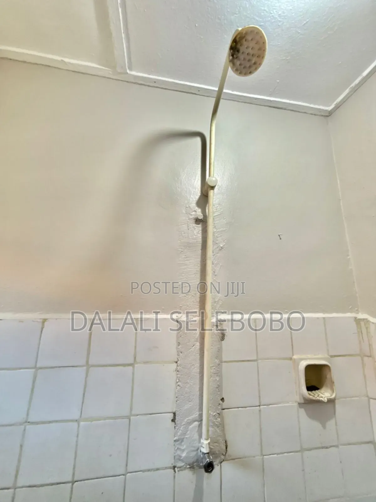 1bdrm Bungalow in Mikocheni B for rent