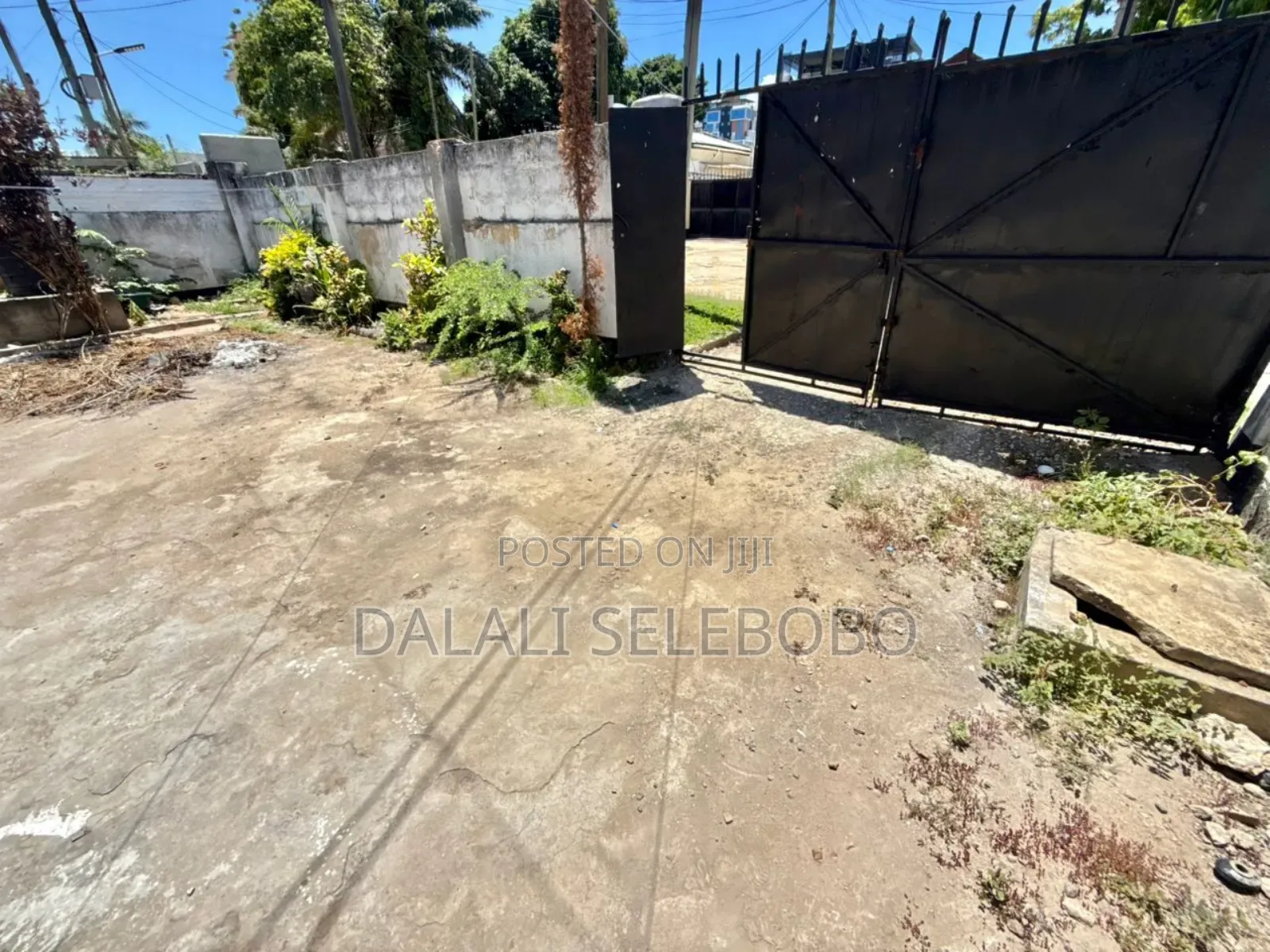1bdrm Bungalow in Mikocheni B for rent