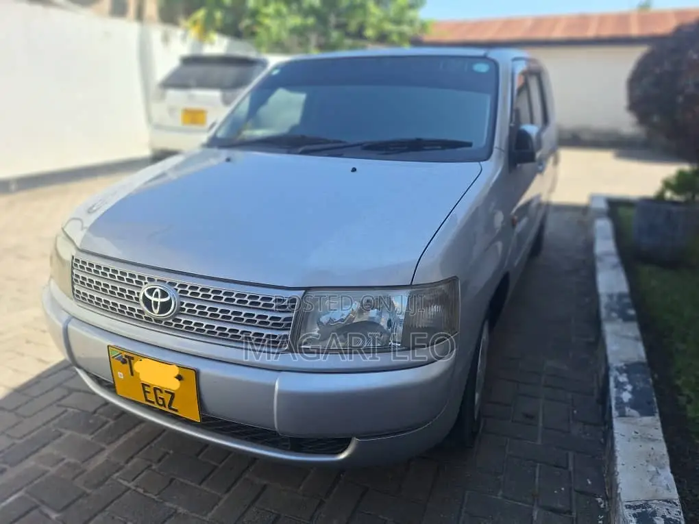 Toyota Probox 2003 Silver