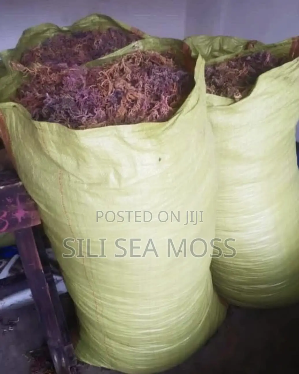 Sea Moss (Seaweed)