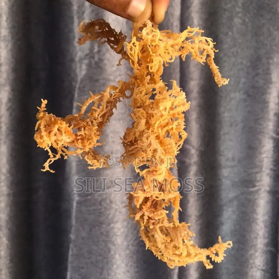 Sea Moss (Seaweed)