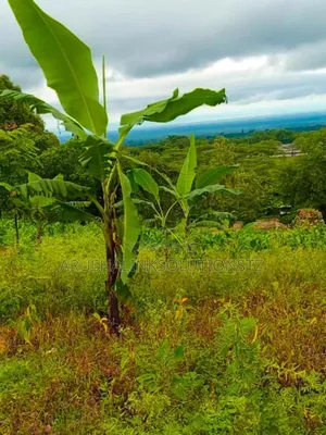 56-Room Property Sale – Momela, Usa-River
