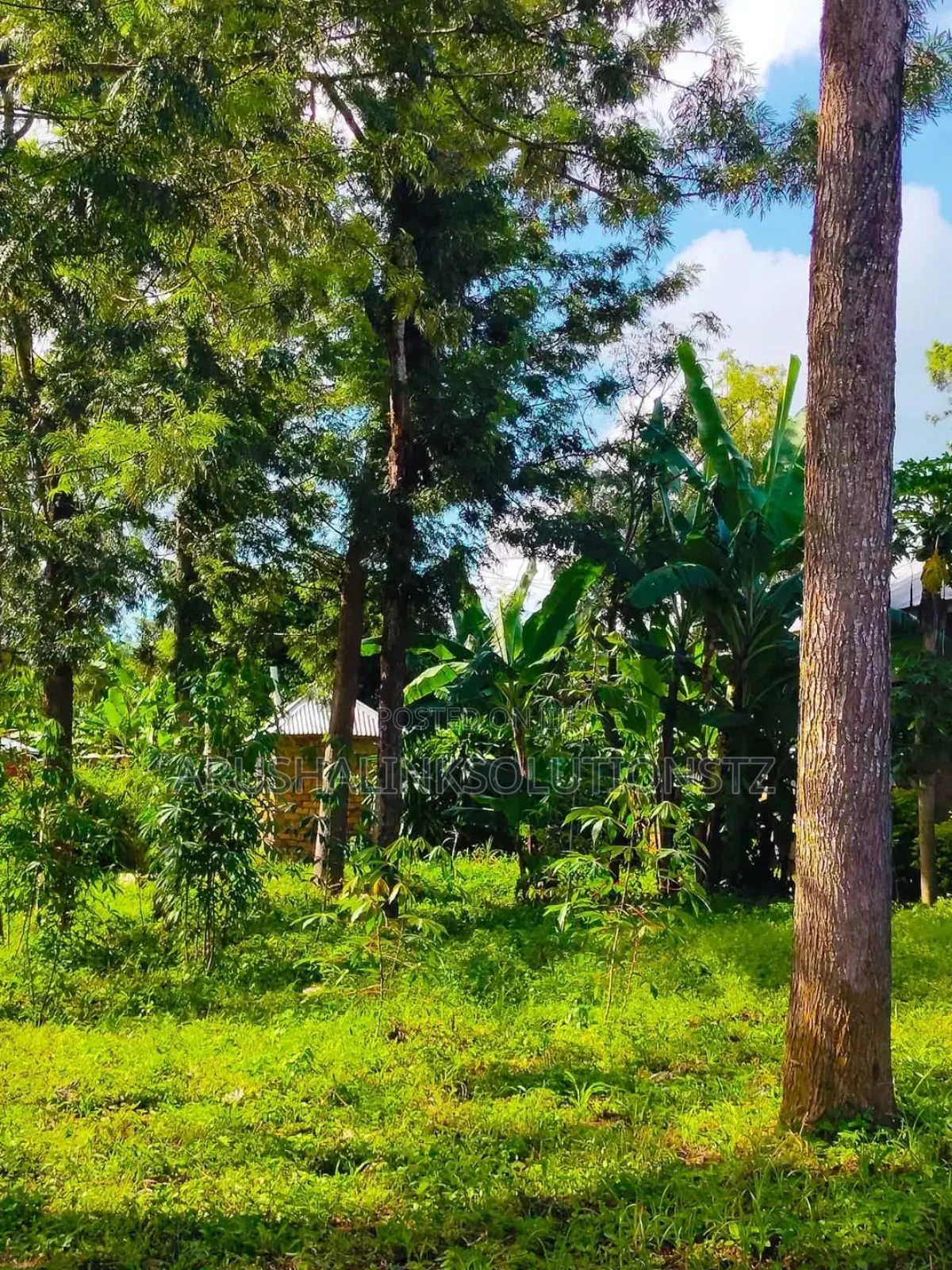 56-Room Property Sale – Momela, Usa-River