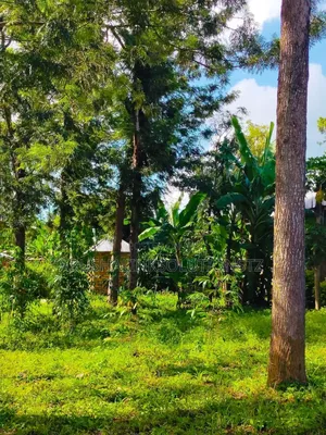 56-Room Property Sale – Momela, Usa-River