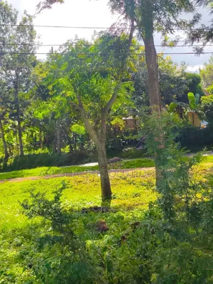 56-Room Property Sale – Momela, Usa-River