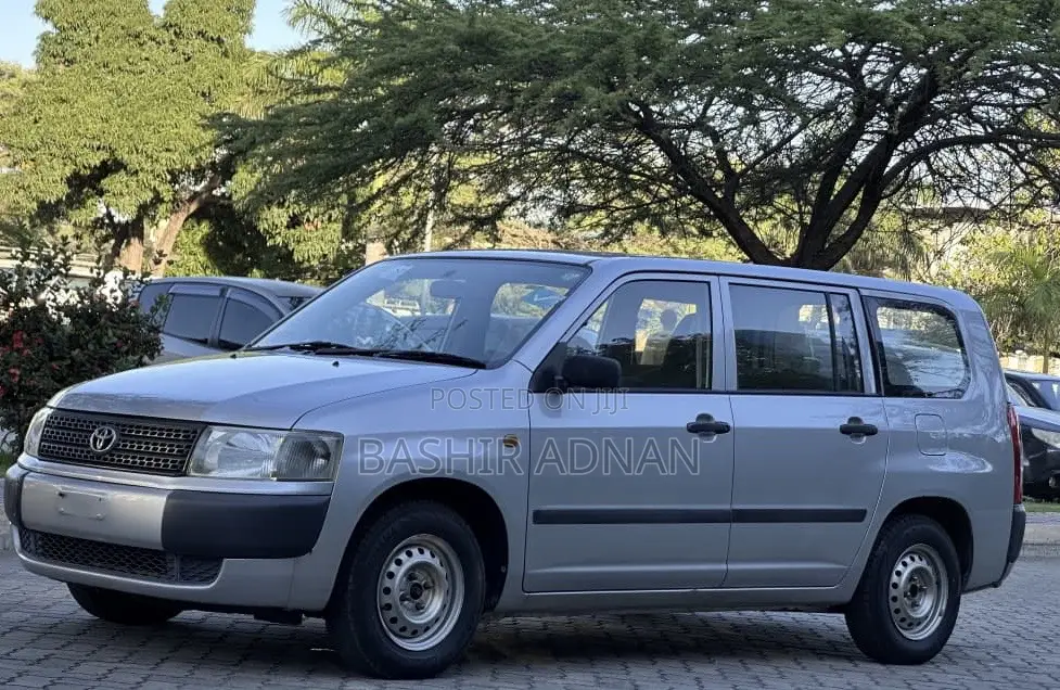 Toyota Probox 2003 Silver
