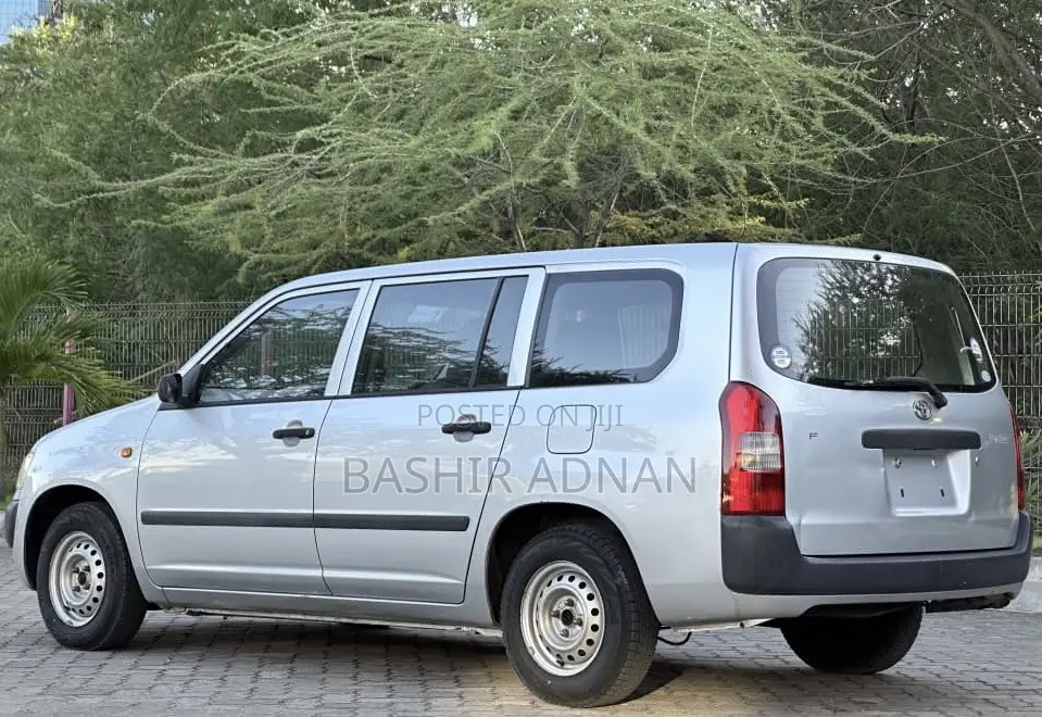 Toyota Probox 2003 Silver