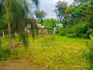 Christmas Offer, Plot for Sale in Njiro, Call