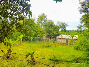 Christmas Offer, Plot for Sale in Njiro, Call