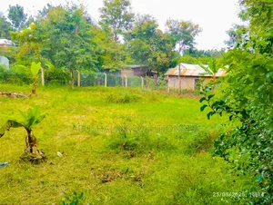 Christmas Offer, Plot for Sale in Njiro, Call