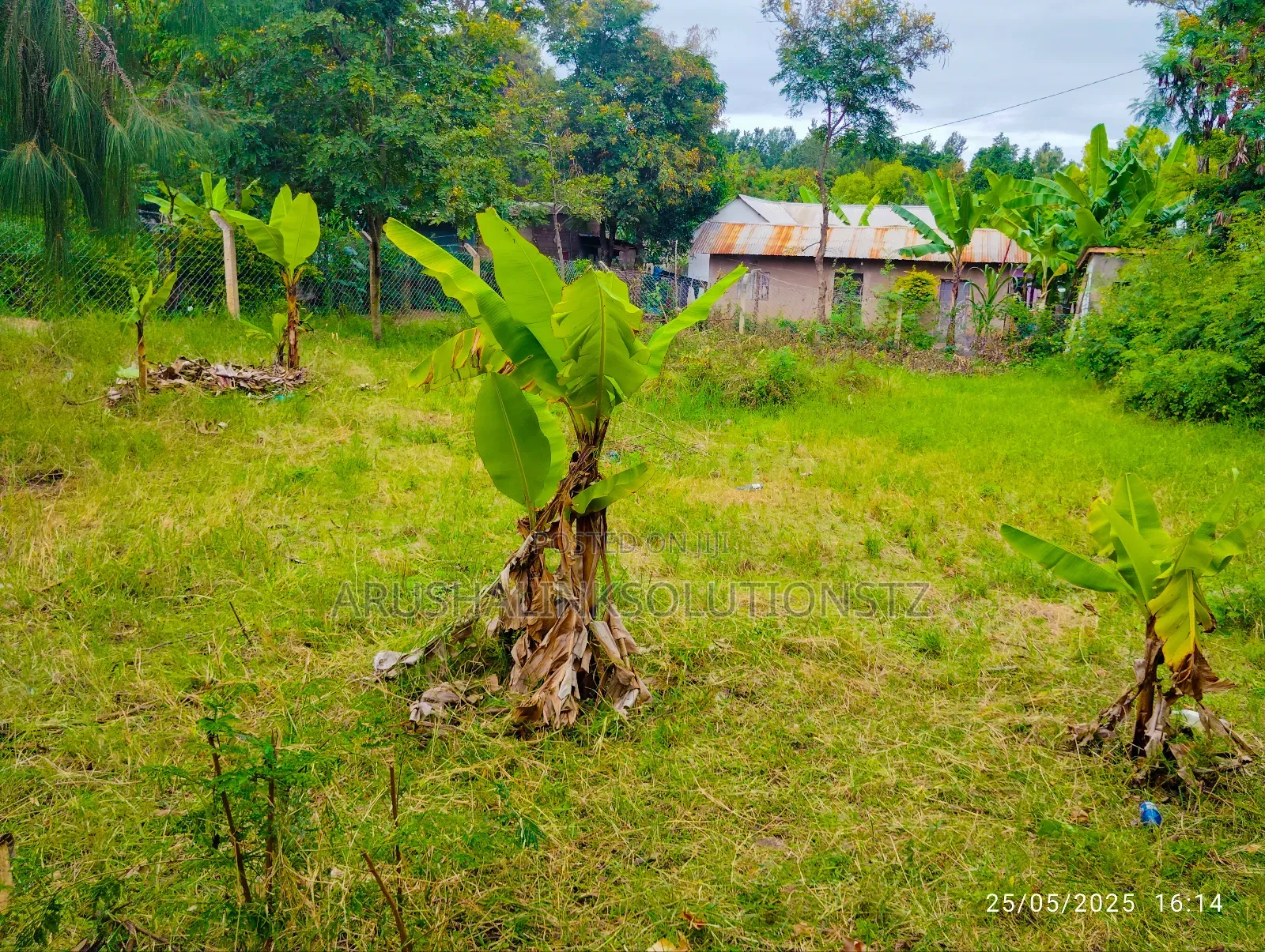 Christmas Offer, Plot for Sale in Njiro, Call