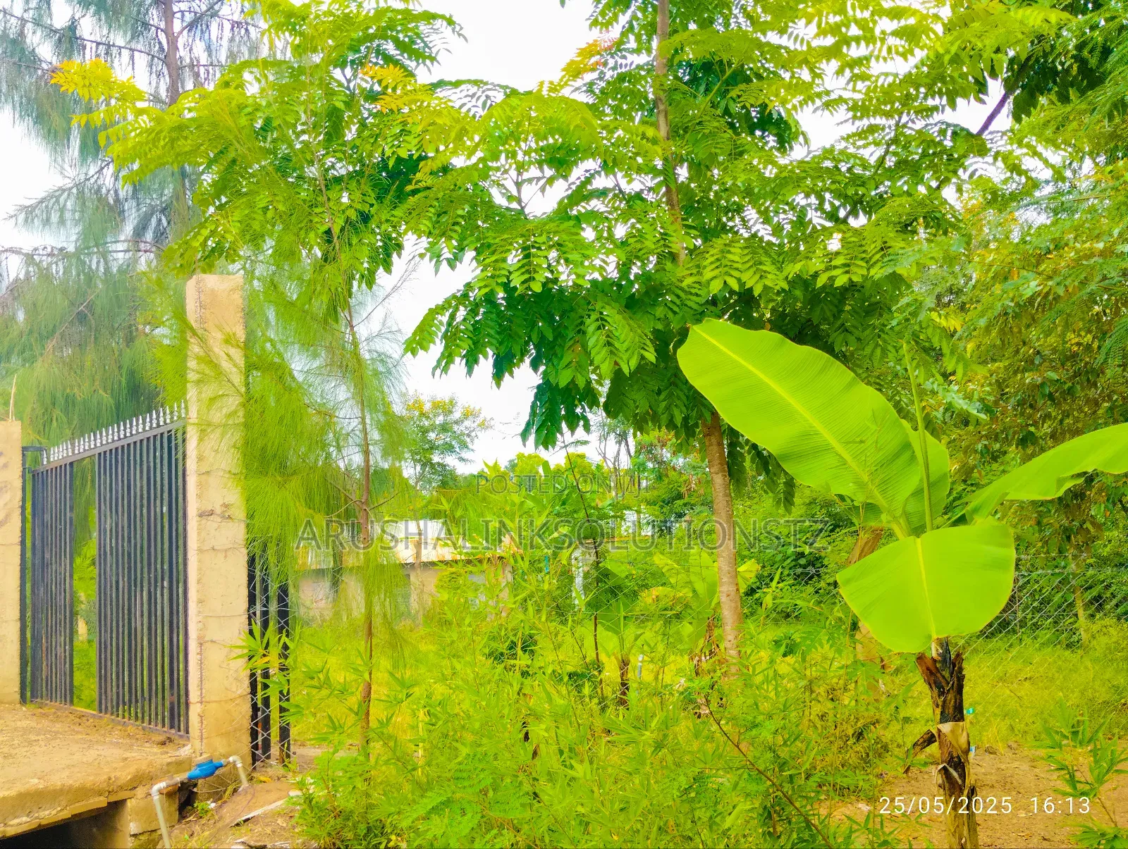 Christmas Offer, Plot for Sale in Njiro, Call