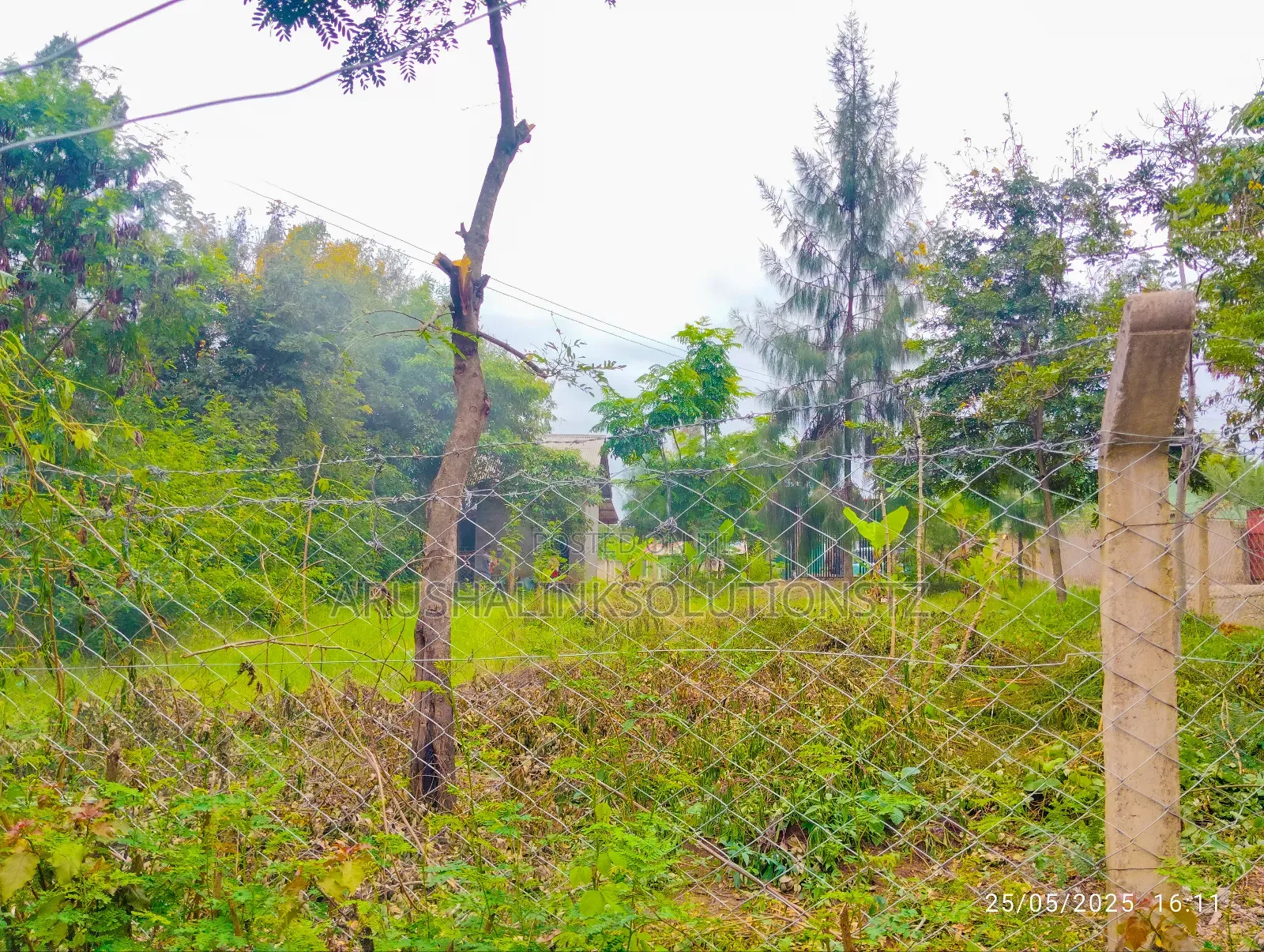 Christmas Offer, Plot for Sale in Njiro, Call