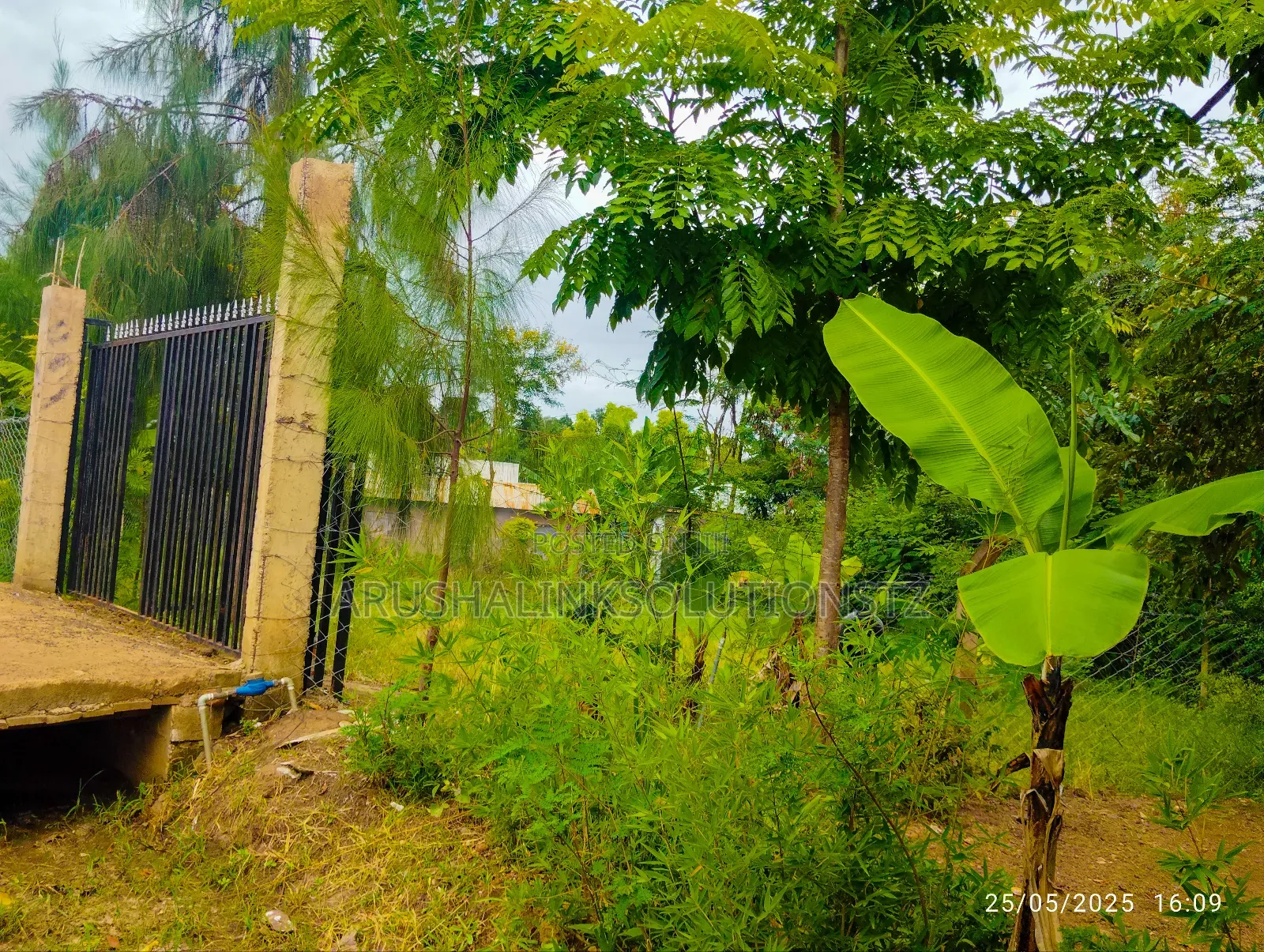 Christmas Offer, Plot for Sale in Njiro, Call