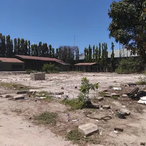 Yard for Rent in Mikocheni