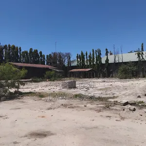 Yard for Rent in Mikocheni