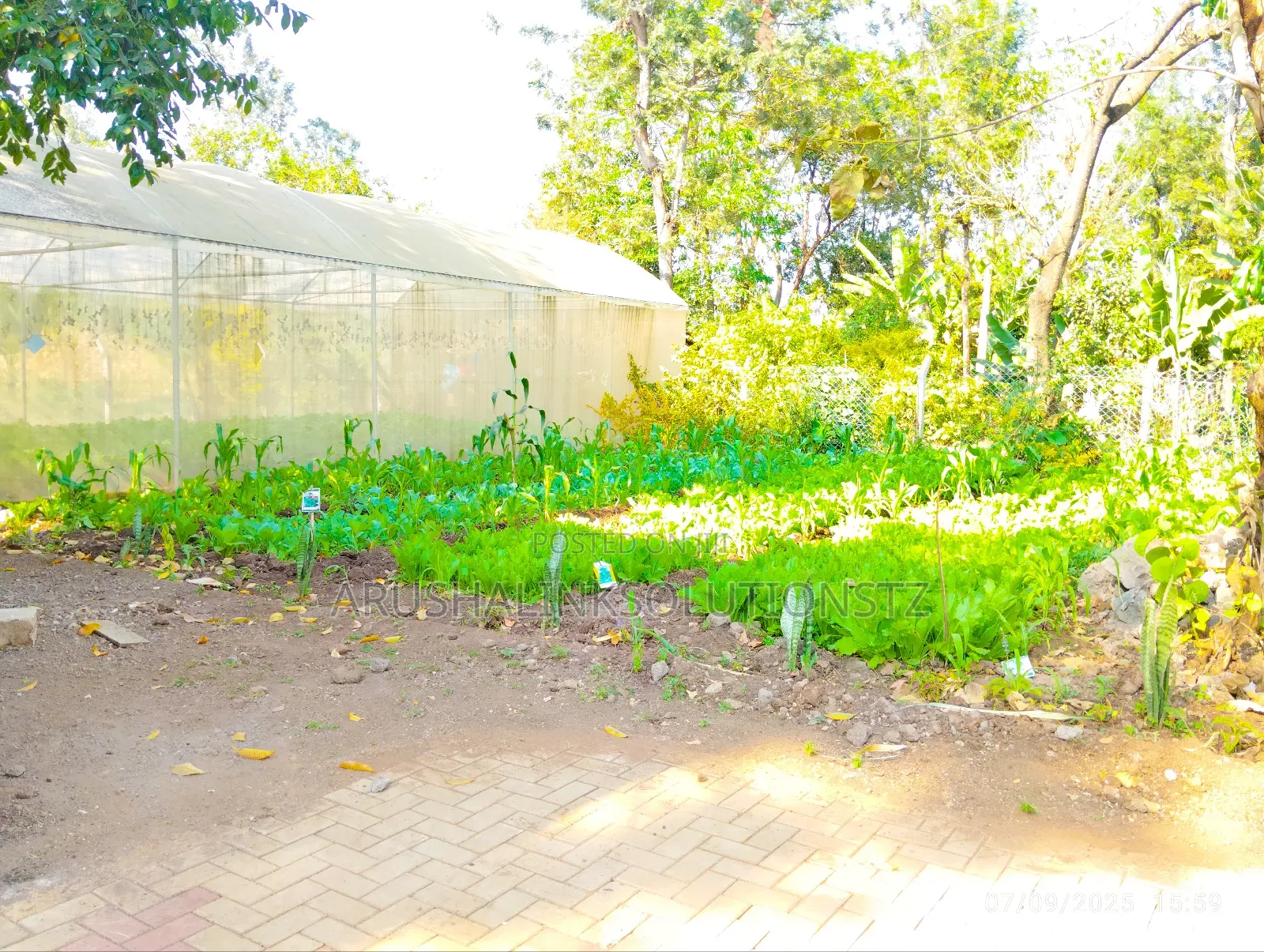 Greenhouse+2 Rooms+ 2000l Water Tank+Fenced+W-Channel at Engosheraton