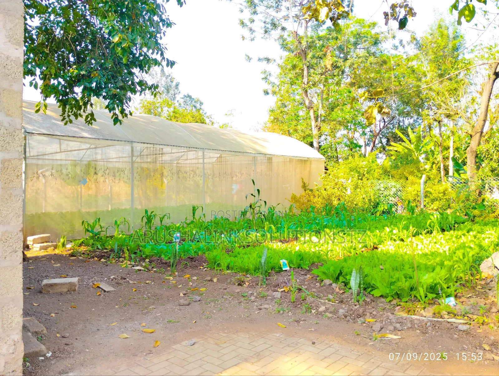 Greenhouse+2 Rooms+ 2000l Water Tank+Fenced+W-Channel at Engosheraton