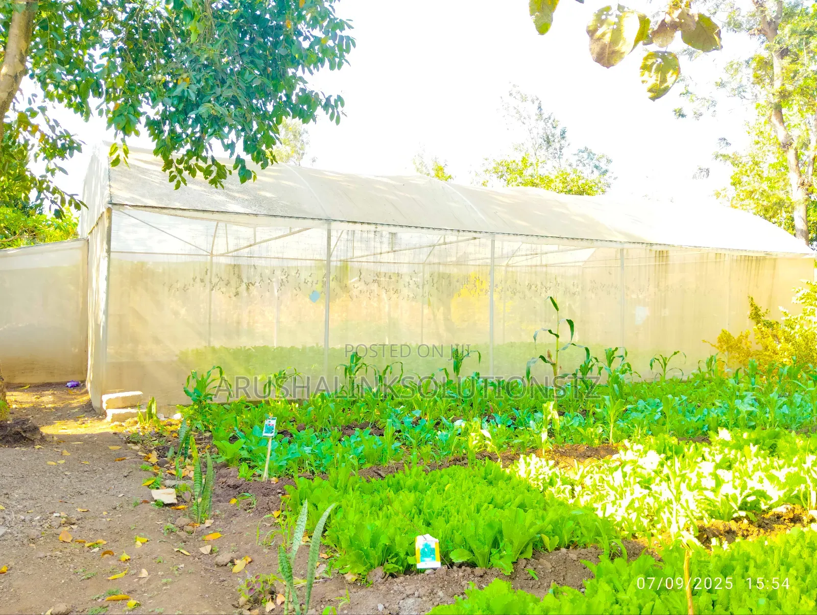 Greenhouse+2 Rooms+ 2000l Water Tank+Fenced+W-Channel at Engosheraton