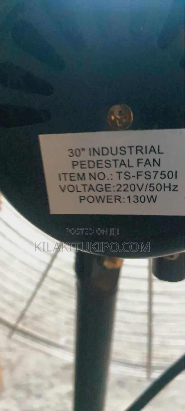 Industrial Pedestal Fan Size 30 Heavy Duty