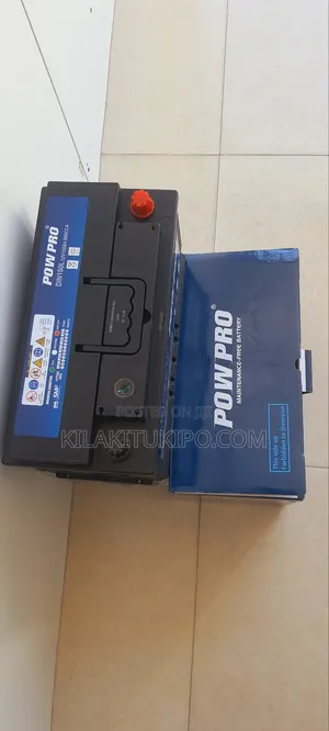 Power Pro Car Battery 12v-100ah/800cca Long Cycle Life