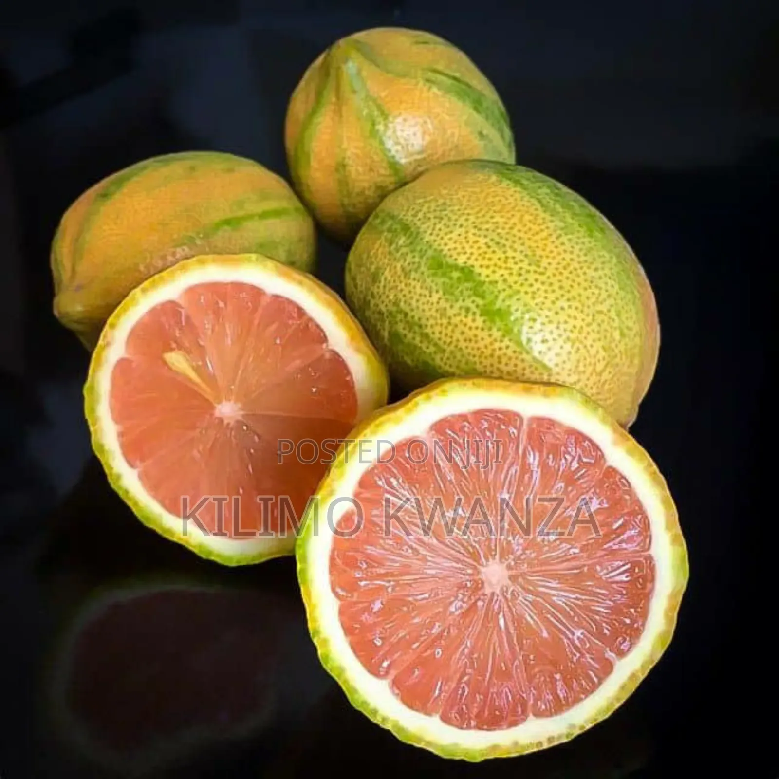 Variegated Lemon
