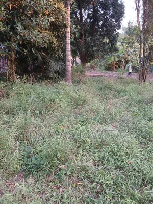 1200 SQM Plot-Investment Opportunity in Mkuranga!