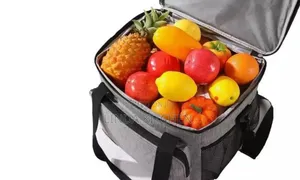 Tokoshi Picnic Bag