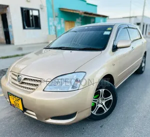 Toyota Corolla RunX 2004 Gold