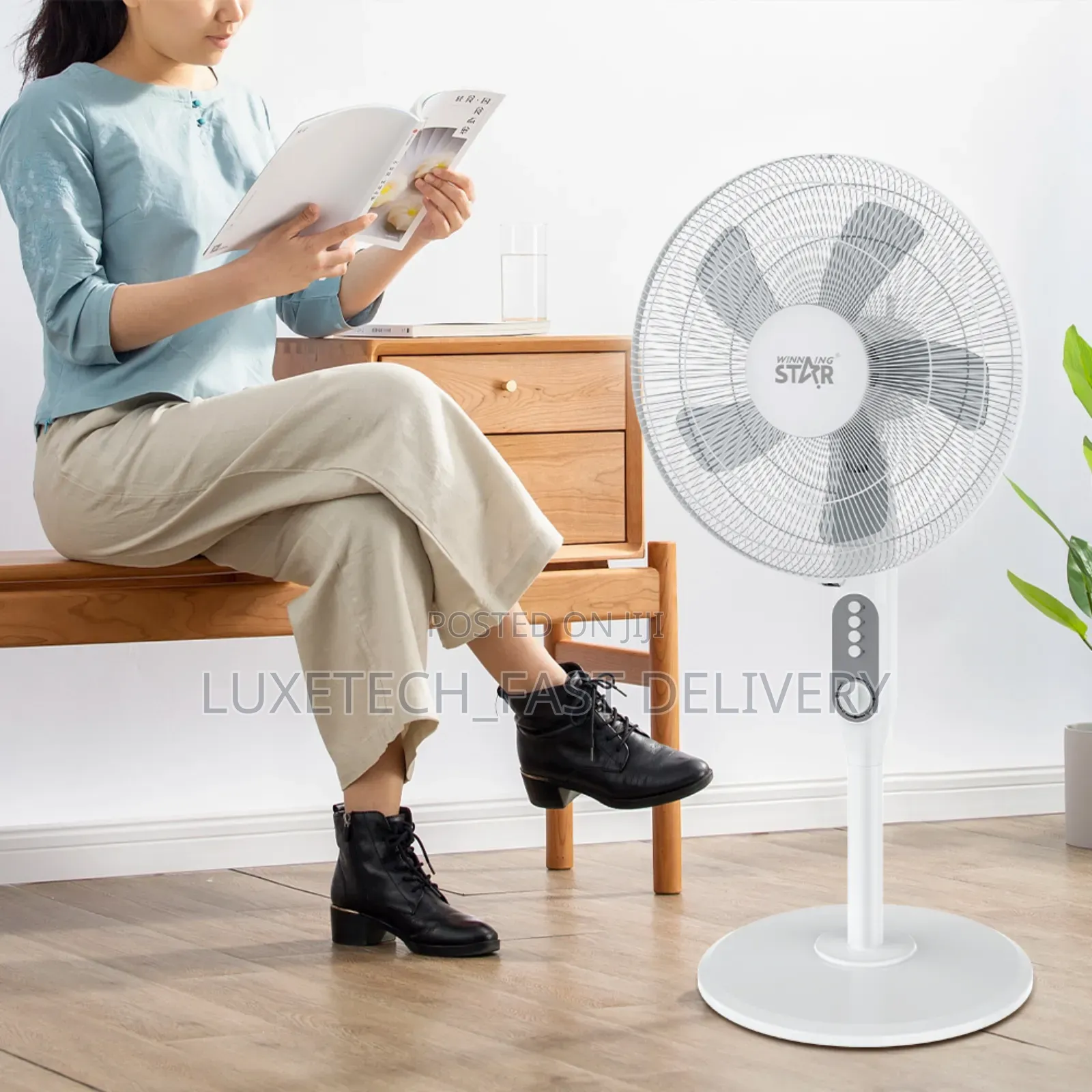 Winning Star St-4055 Stand Fan