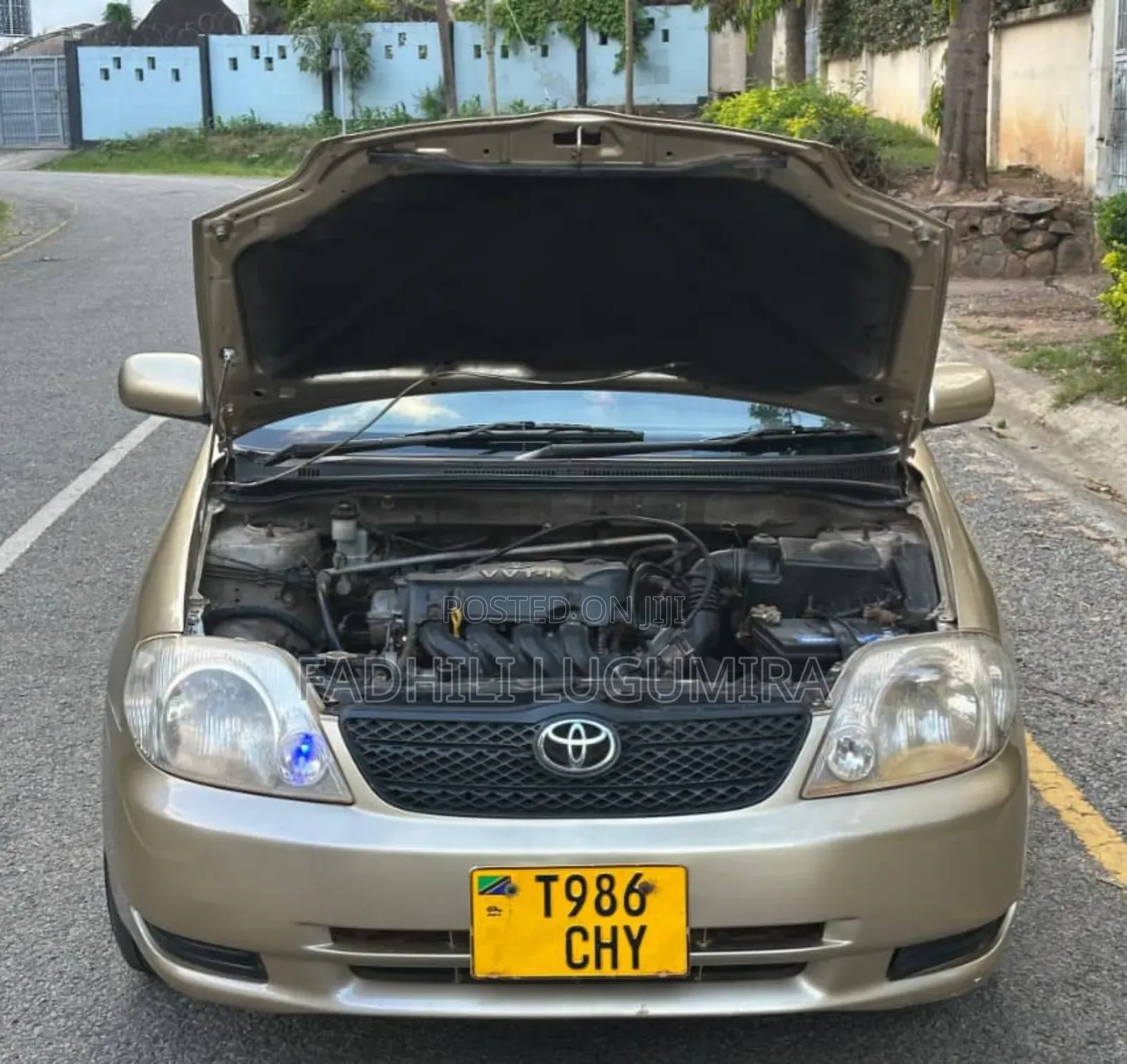 Toyota Corolla RunX 2004 Gold