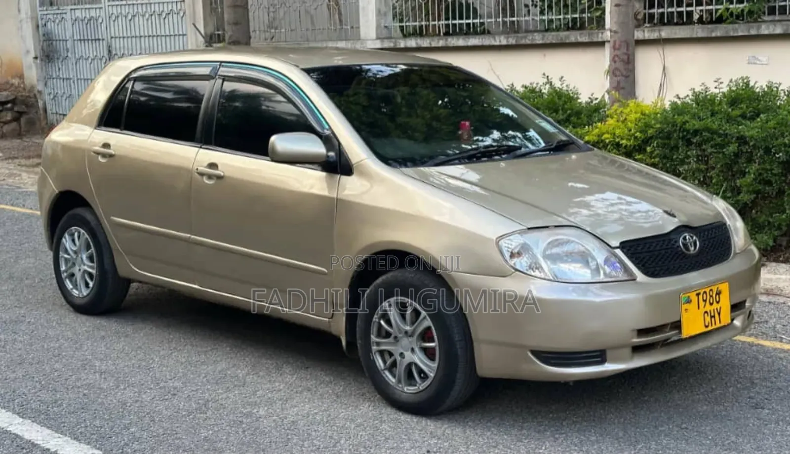 Toyota Corolla RunX 2004 Gold