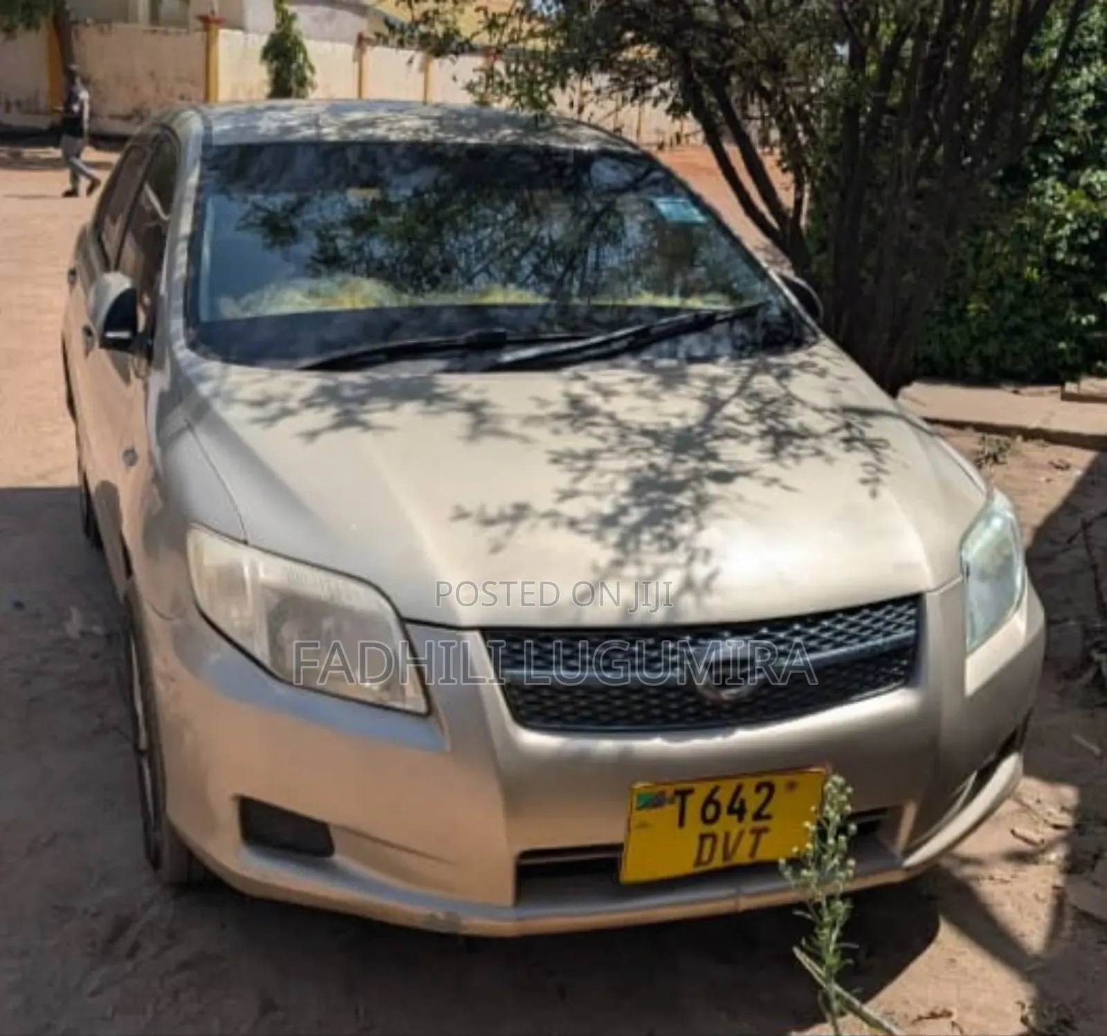 Toyota Axio 2006 Gold
