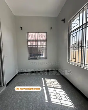 1bdrm Apartment in Dalali_Nick _Mwanza, Nyasaka for rent