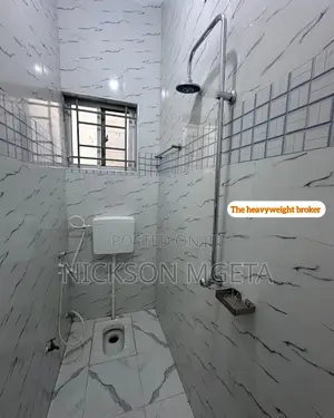 1bdrm Apartment in Dalali_Nick _Mwanza, Nyasaka for rent