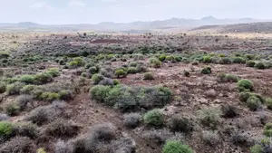 10 Acres of Land With a View of Lake for Sale in Chemchem, Manyara