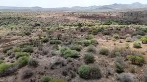 10 Acres of Land With a View of Lake for Sale in Chemchem, Manyara