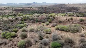 10 Acres of Land With a View of Lake for Sale in Chemchem, Manyara